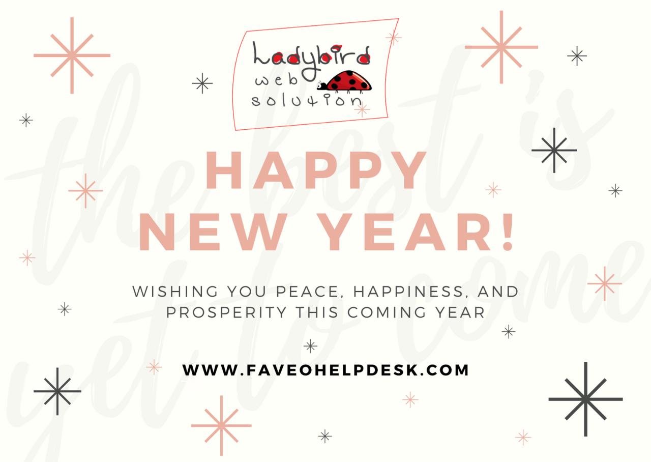 Ladybird Happy New Year post